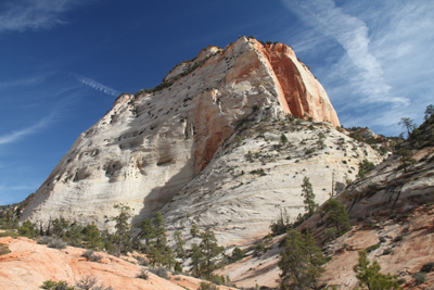 Explore Roadside Nature- Zion NP East Side rocks
